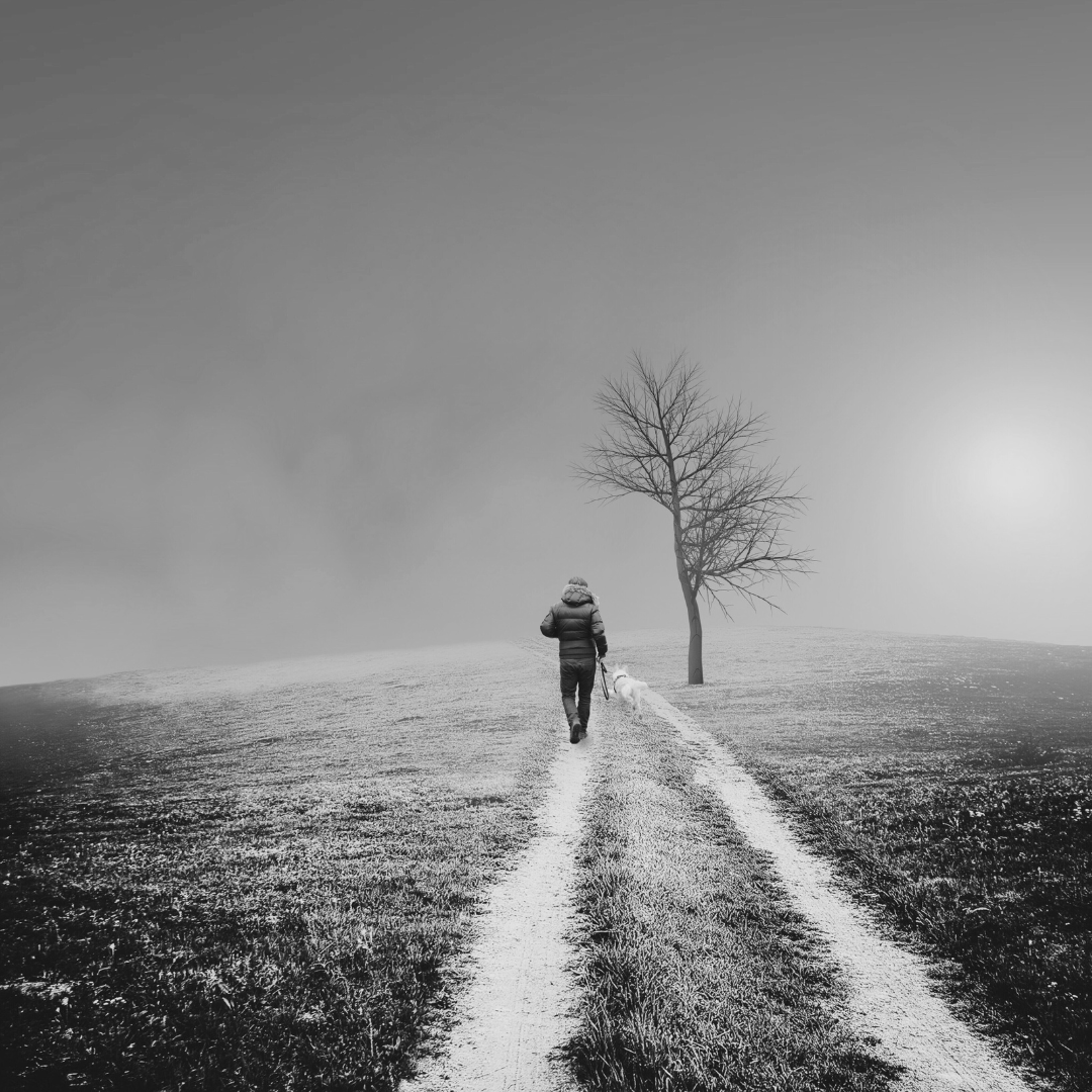 Pathfinders: Purpose Discovery for Adults & Children
